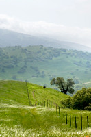 Pacheco Oaks and Misty Hills